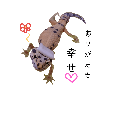 [LINEスタンプ] 癒しのレオパ