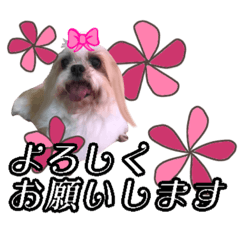 [LINEスタンプ] ひめのおうち