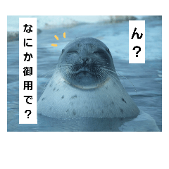 [LINEスタンプ] 水族館な仲間達