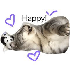 [LINEスタンプ] 猫ちゃん 汪星人
