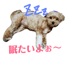 [LINEスタンプ] マルプー メルちゃん