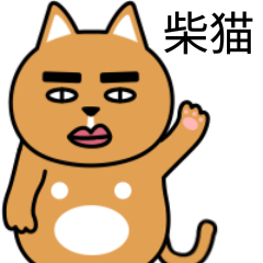 [LINEスタンプ] 柴猫