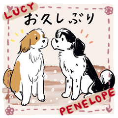 [LINEスタンプ] LUCY ＆ PENELOPE(日本語版)の画像（メイン）