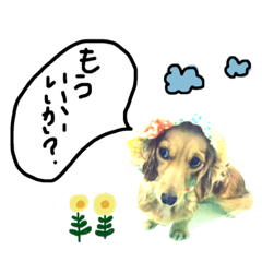 [LINEスタンプ] るーちゃんスタンプ NO3