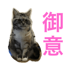 [LINEスタンプ] ミケとキキ。