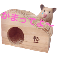 [LINEスタンプ] ハムの日常スタンプ