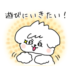 [LINEスタンプ] まっしろわんこのモップくん