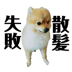 [LINEスタンプ] 毛玉のスタンプ