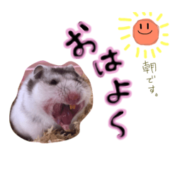 [LINEスタンプ] ハムスターのすち子