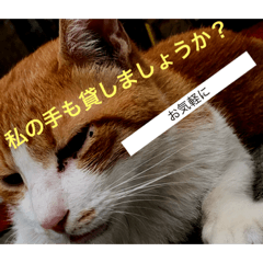 [LINEスタンプ] 平和的に