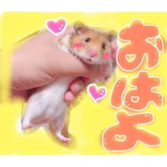 [LINEスタンプ] ハムハムデンくん2