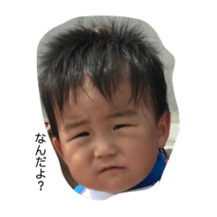 [LINEスタンプ] こっしーーーず
