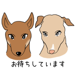 [LINEスタンプ] ラムダとシータ2