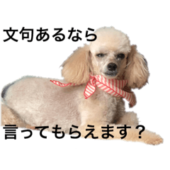 [LINEスタンプ] ちびたちなつぶやき