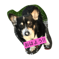 [LINEスタンプ] 凛ちゃん可愛いね