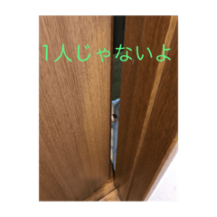 [LINEスタンプ] マッコリ