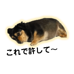 [LINEスタンプ] 癒やしのぐーちゃん
