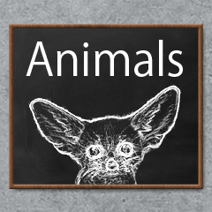 [LINEスタンプ] Blackboard Animals