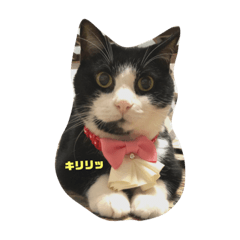 [LINEスタンプ] まるみるまん