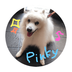 [LINEスタンプ] pin-ji4