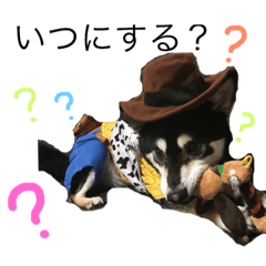 [LINEスタンプ] 黒柴りき5