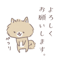 [LINEスタンプ] ポメたんのけっこう使えるスタンプ