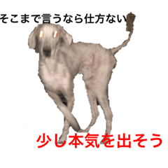 [LINEスタンプ] 我が家のペット追加！