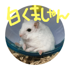 [LINEスタンプ] しんたろうの一日。