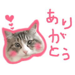 [LINEスタンプ] 魅惑のれお猫スタンプ