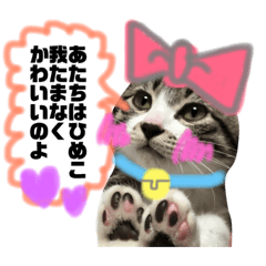 [LINEスタンプ] 阿部ひめこ