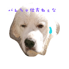 [LINEスタンプ] 子供達とレオ