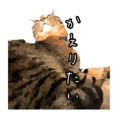 [LINEスタンプ] 伊藤家のよもぎさん