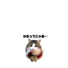 [LINEスタンプ] 姫様と坊ちゃん