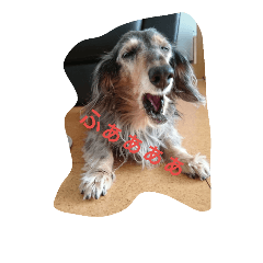 [LINEスタンプ] りくじぃの日常2