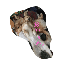 [LINEスタンプ] こはうた日和