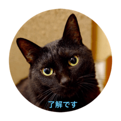 [LINEスタンプ] 空の呟き