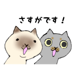 [LINEスタンプ] ねこ猫スタンプ