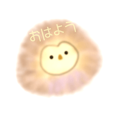 [LINEスタンプ] ふわふわフクロウ！
