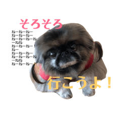 [LINEスタンプ] てんてんです1