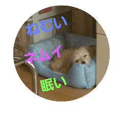 [LINEスタンプ] 俺の犬