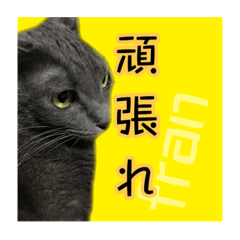 [LINEスタンプ] フランさん