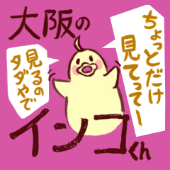 [LINEスタンプ] 大阪のインコくん