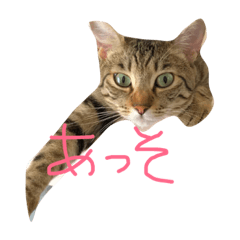 [LINEスタンプ] すずちゃそ
