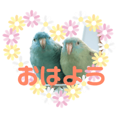 [LINEスタンプ] コリすけ＆リラまる