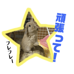 [LINEスタンプ] ゆかいなペットたち！