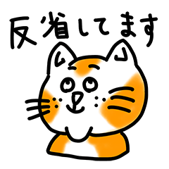 [LINEスタンプ] 謝ったり感謝しまくる猫