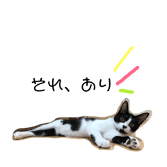 [LINEスタンプ] ハチワレ猫とらじくん