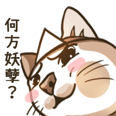 [LINEスタンプ] オータムは猫です