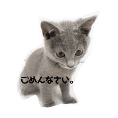 [LINEスタンプ] ぽてスタンプ