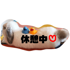 [LINEスタンプ] うたたんの日常
